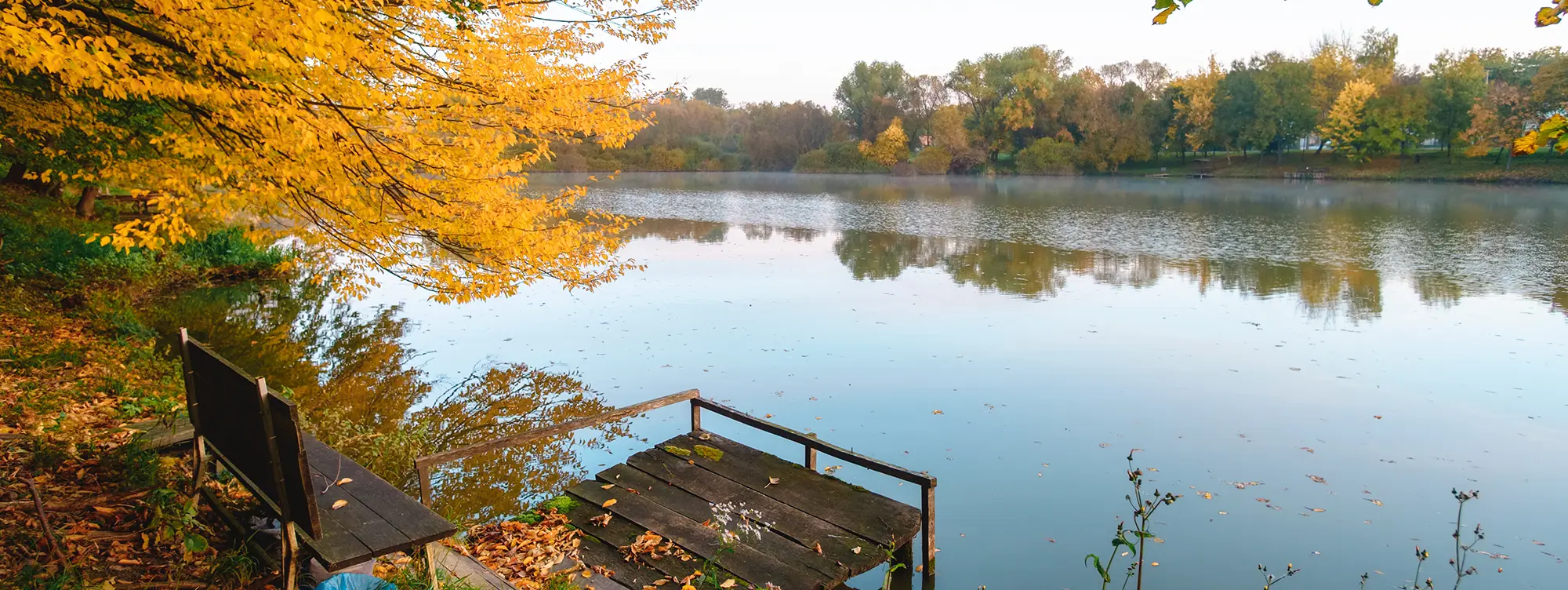 calm lake in the fall with yellow leaves on a tree
